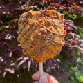 Butterfinger Candy Apple